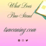pmo-meaning-in-text