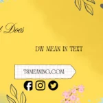 what does dw mean in text
