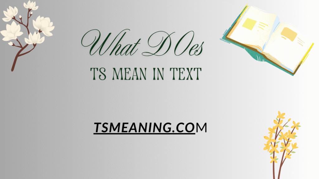 what-does-ts-mean-in-text