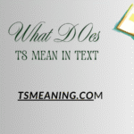 what-does-ts-mean-in-text