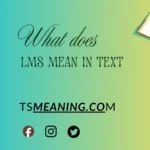 what does LMS mean in text