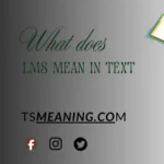 what does LMS mean in text