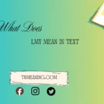 what does lmy mean in text