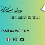what does GTS mean in text