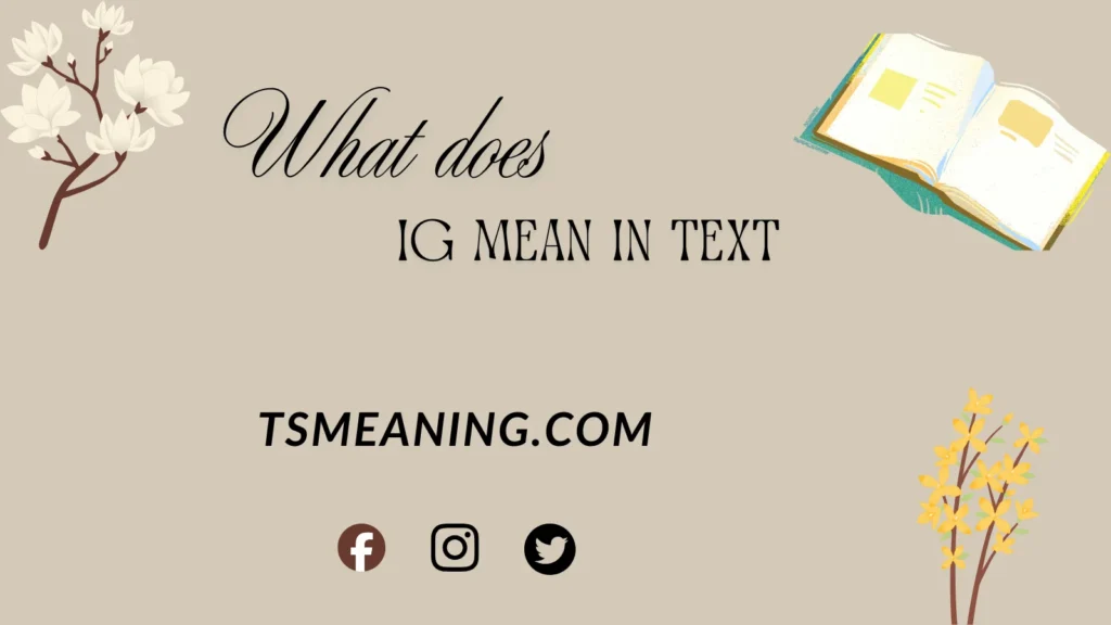 what does IG mean in text