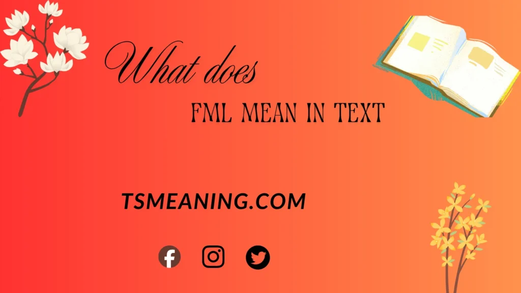 what does FML mean in text