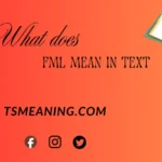 what does FML mean in text