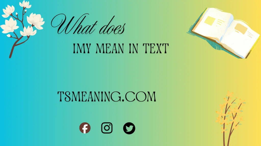 what does IMY mean in text