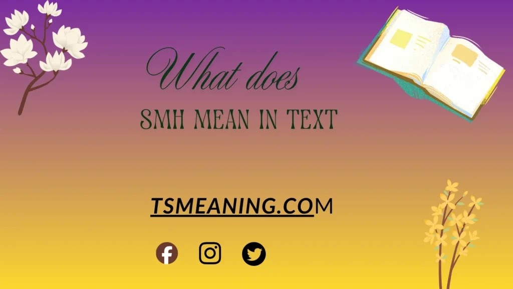 what does SMH mean in text
