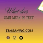 what does SMH mean in text