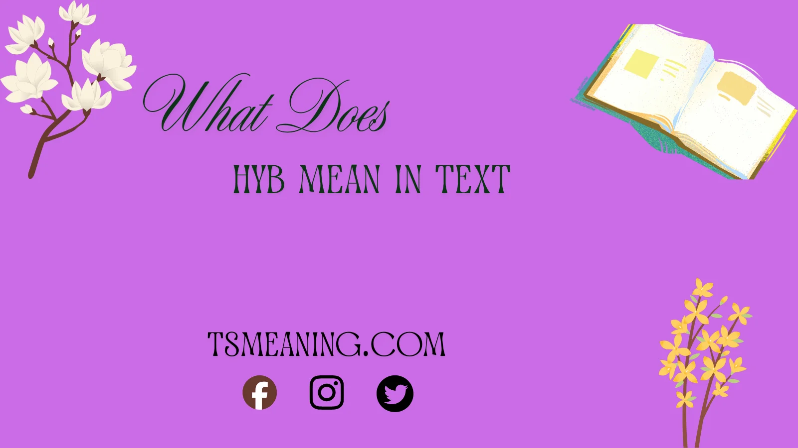 what does HYB mean in text,