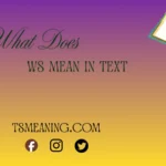 what does WS mean in text