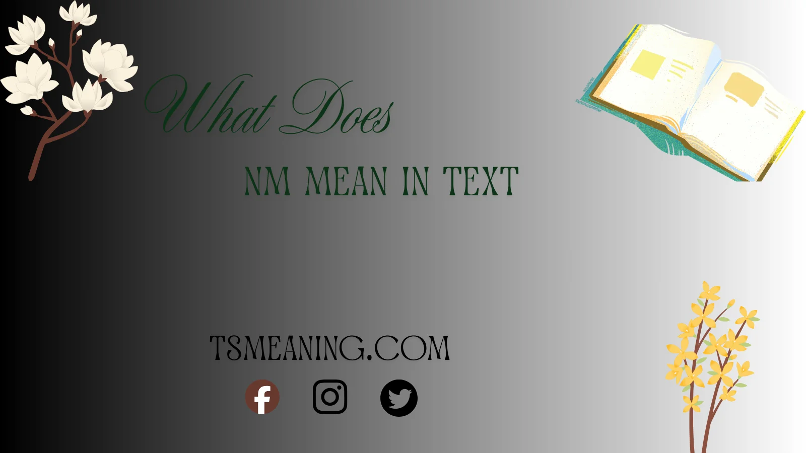 what does nm mean in text