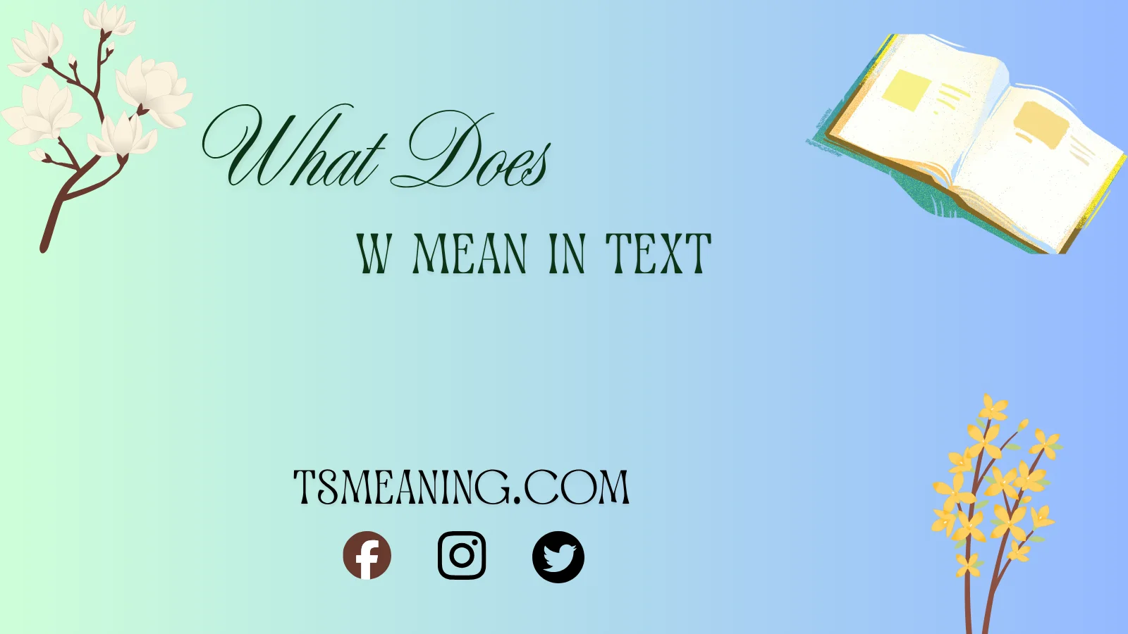 what does w mean in text