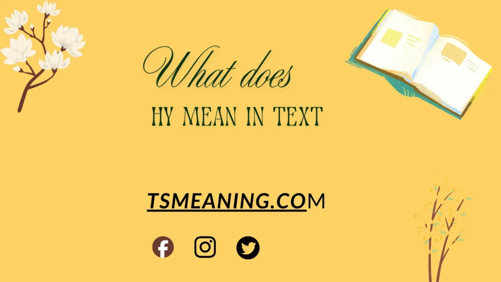what does HY mean in text