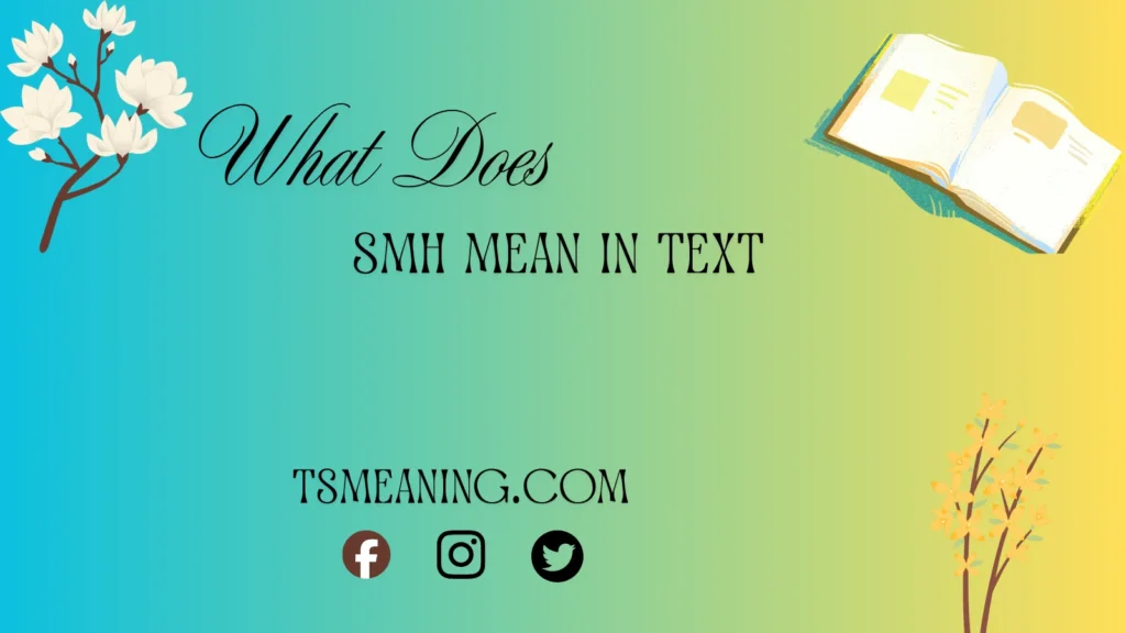 what do smh mean in text