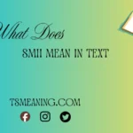 what do smh mean in text