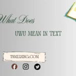 what does uwu mean in text