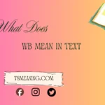 what does wb mean in text