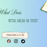 what does wtm mean in text