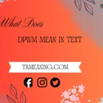 what does dpwm mean in text