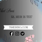 What does IRL mean in text