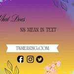 What does NS mean in text