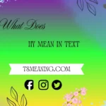 what do hy mean in text