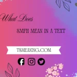 what does smfh mean in text
