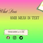 what does SMH mean in text