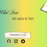 what does pfp mean in text