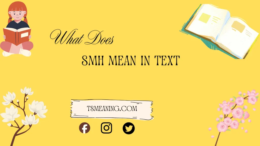 what does smh mean in a text