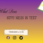 STFU meaning in text