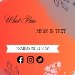 what does pmo mean in text