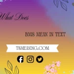 what does bms mean in text