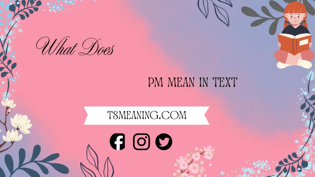 what does pm mean in text