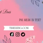 what does pm mean in text