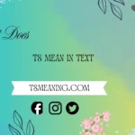 what do ts mean in text