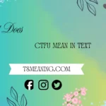 what does ctfu mean in text