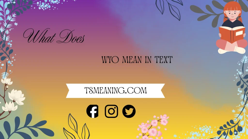 what do wyo mean in text