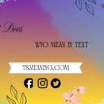 what do wyo mean in text