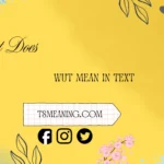 what does wut mean in text