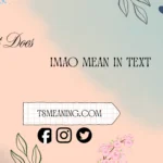 what does IMAO mean in text