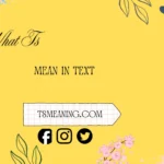 what ts mean in text