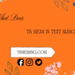 what does ts mean in text