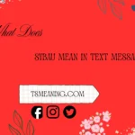 what does sybau mean in text