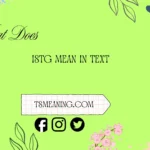 what does istg mean in text
