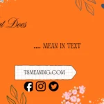 what does [ABBREVIATION] mean in text